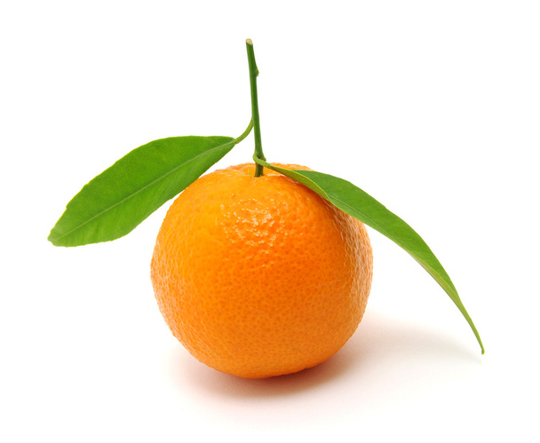 mandarine isolée sur blanc - Photo, image