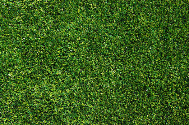 Background of a grass - Foto, immagini