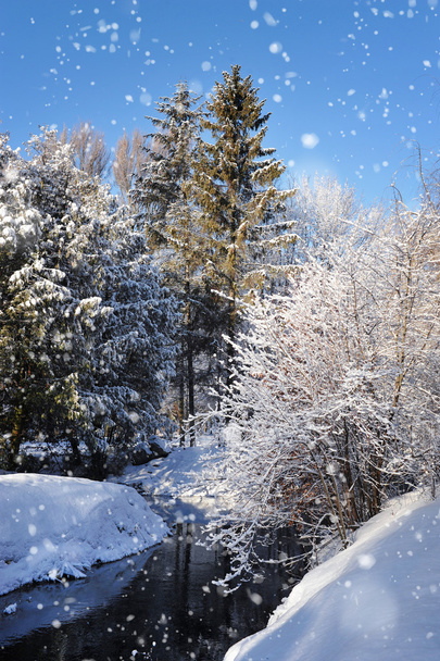 prachtig winterlandschap met besneeuwde bomen - Foto, afbeelding