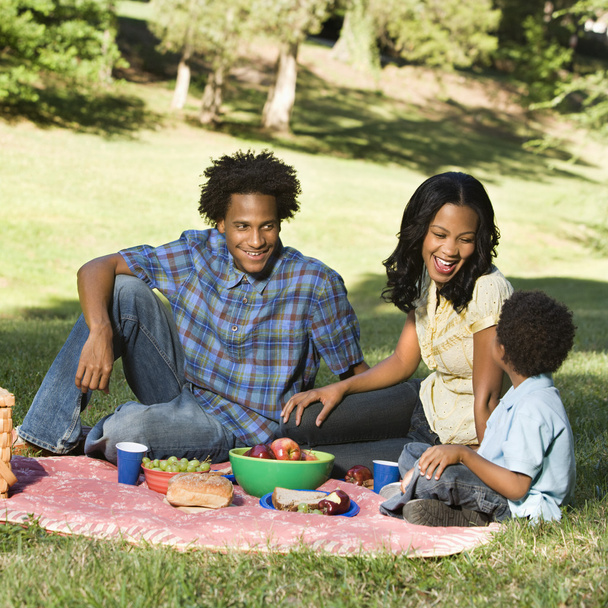 Family picnic. - Foto, Imagem