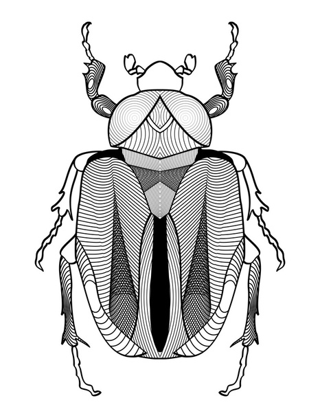 Calligraphic beetle drawing in black and white. Beetle shape decorated with graphic elements. Vector EPS10 - Vector, Image