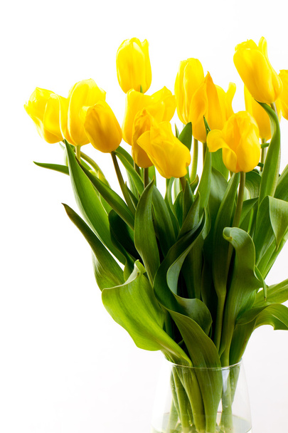 Strauß Tulpen auf weißem Hintergrund - Foto, Bild