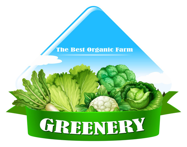 Élelmiszer-logó, friss zöldségekkel - Vektor, kép