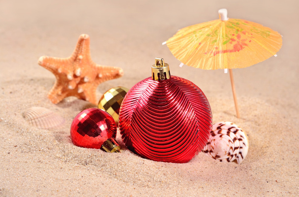 Christmas decorations, seashells and starfish - Photo, Image