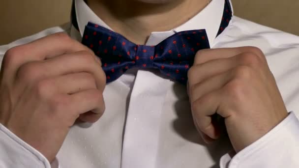男性は、ビジネスマンの蝶ネクタイを修正します。 - 映像、動画