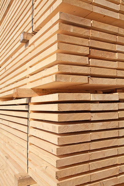 Fresh wooden studs - Foto, afbeelding