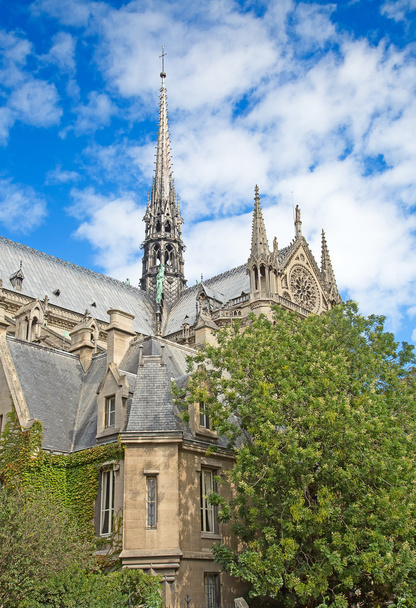 Notre-Dame in Parijs - Foto, afbeelding