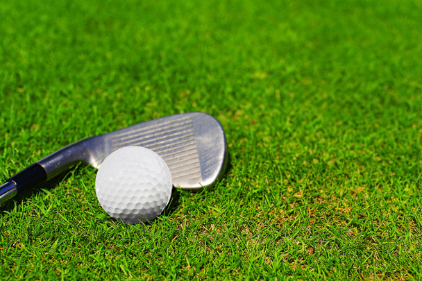 Golf club and ball on a green grass - 写真・画像