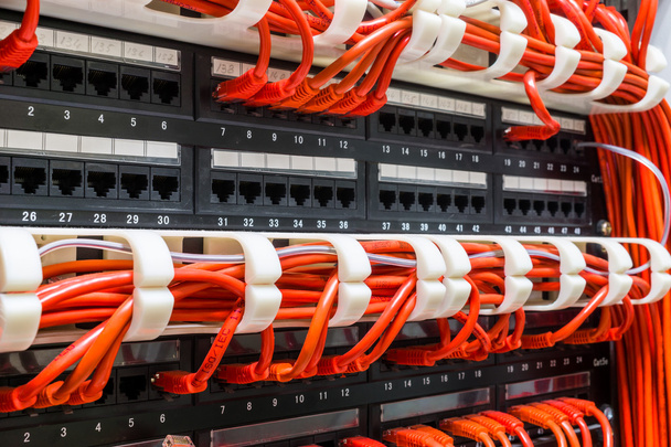 Primer plano de los cables de red rojos conectados al conmutador
 - Foto, imagen