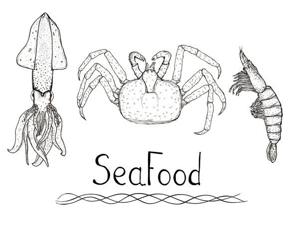 Sketch hand drawn seafood set - squid, crab, shrimp with lettering isolated - Zdjęcie, obraz