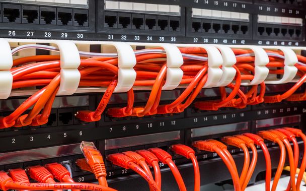 Close up of red network cables connected to switch - Photo, Image