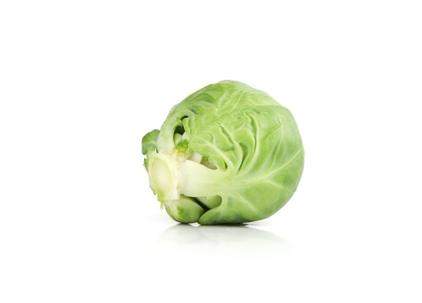 Green Cabbage - 写真・画像