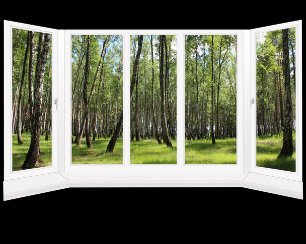 окна с видом на рощу весной изолированы
  - Фото, изображение