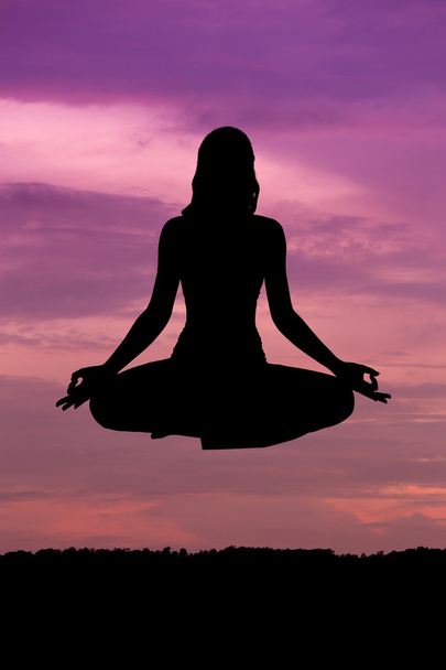 Silhouette of a beautiful Yoga woman - Photo, Image