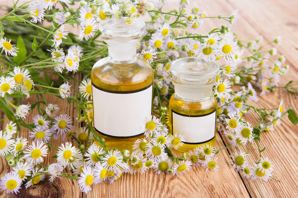 Herbal medicine concept - bottle with camomile on wooden table - Foto, Imagen