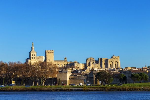 Avignon manzarası ile Gotik binanın Papalar Sarayı - Fotoğraf, Görsel