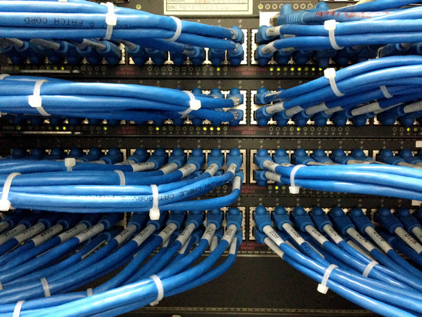 スイッチに接続されたネットワークケーブル-データセンターのハードウェアの閉鎖 - 写真・画像