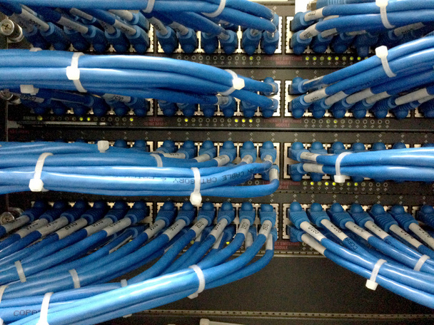 Network cables connected to switch - closeup of data center hardware - Photo, Image