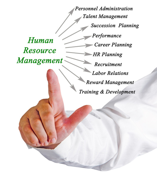 Διάγραμμα της διαχείρισης ανθρώπινου δυναμικού - Φωτογραφία, εικόνα