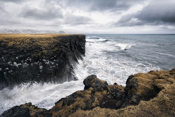 Coastal landscape in Iceland - Zdjęcie, obraz