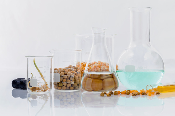 Vaaralliset elintarvikkeet laboratoriossa maatalouden jyvät ja maissi wit
 - Valokuva, kuva