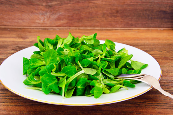 Salade fraîche verte
 - Photo, image