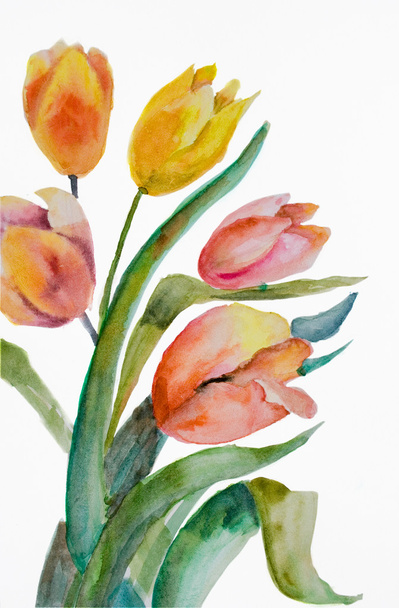Watercolor Tulips flowers - Fotoğraf, Görsel