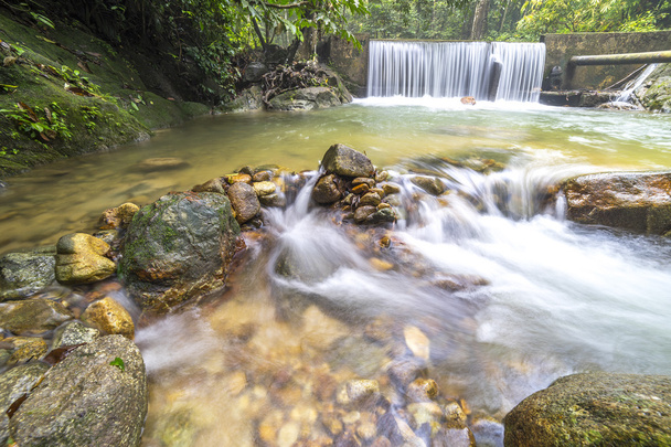 víz a patak trópusi erdő - Fotó, kép