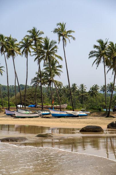 Anjuna, Goa plaj - Fotoğraf, Görsel