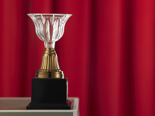 one crystal trophy - Foto, Imagen