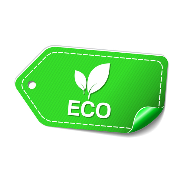 Eco Friendly Icon Design - Вектор, зображення