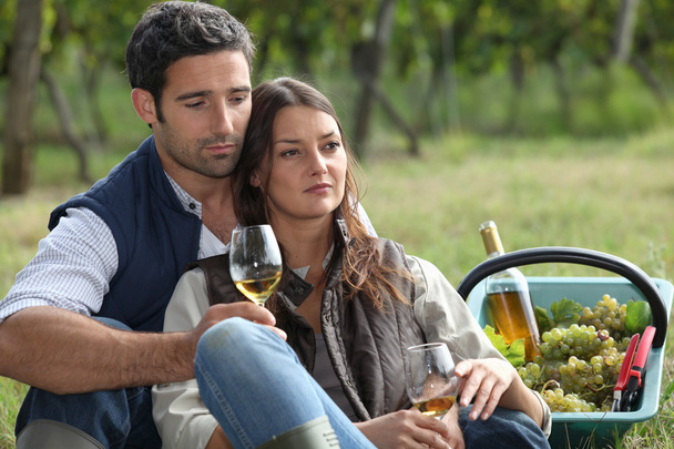Couple with wine glass in the field - Foto, afbeelding