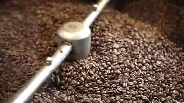 coffee beans in the machine - Πλάνα, βίντεο