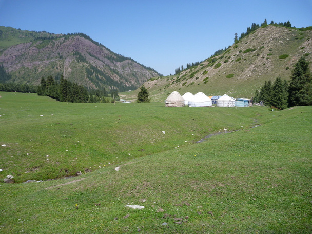 зелена гірська долина з юртами
 - Фото, зображення