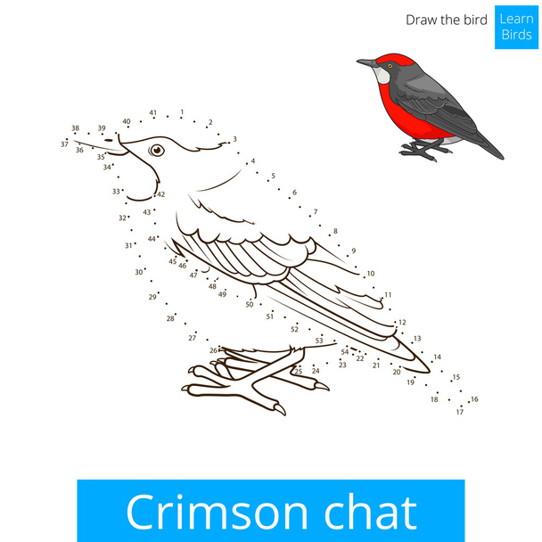 Crimson chat bird learn to draw vector - Vetor, Imagem