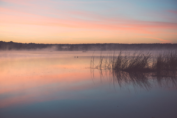 国湖 - ヴィンテージ効果で霧の朝 - 写真・画像