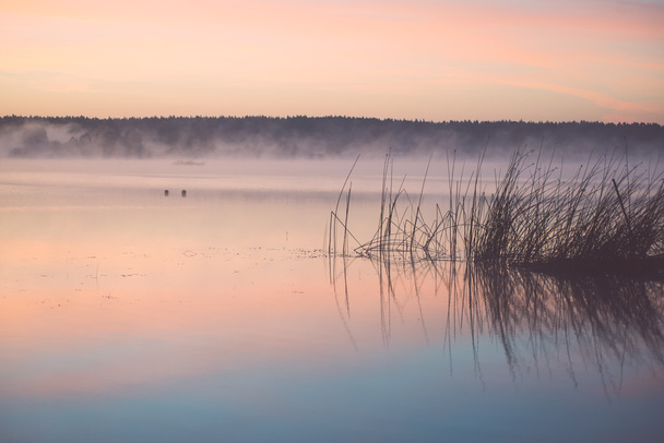 Mglisty poranek nad jeziorem kraju - vintage efekt - Zdjęcie, obraz