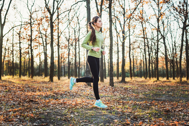 female running in park. Young woman jogging in autumn forest - 写真・画像