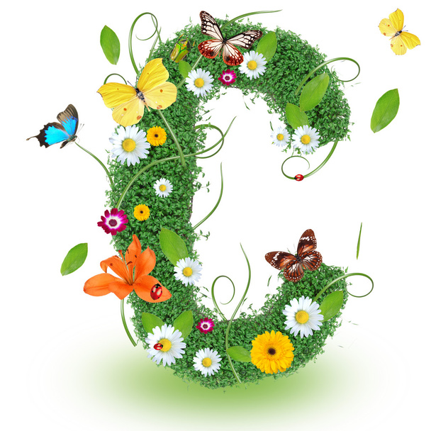 Beautiful spring letter - Foto, afbeelding