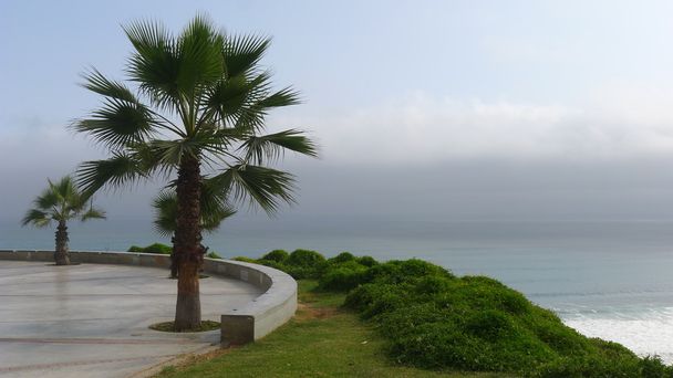 View to the Pacific Ocean from Itzhak Rabin park in Miraflores, Lima - Photo, Image