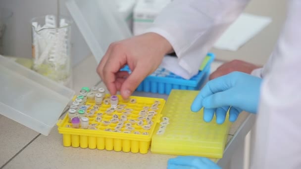 Local de trabalho laboratorial para teste de ADN
 - Filmagem, Vídeo