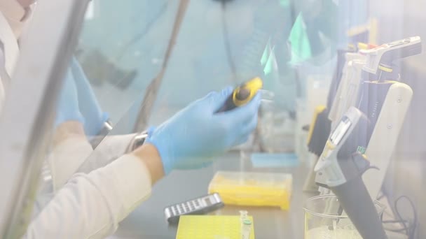 Local de trabalho laboratorial para teste de ADN
 - Filmagem, Vídeo