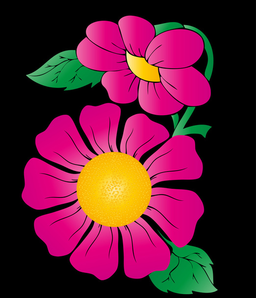 黒の背景に分離した抽象的なピンクの花。3 月 8 日 - ベクター画像