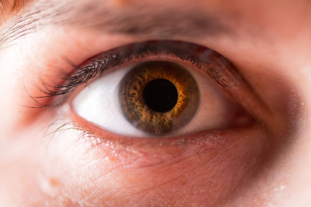 The human eye. macro - Foto, Bild