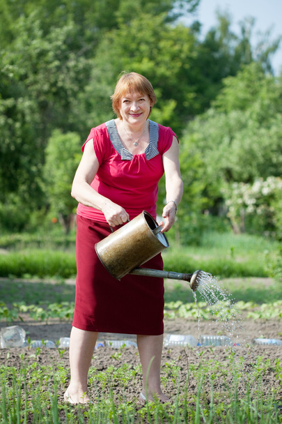 Mature woman watering plant   - Valokuva, kuva