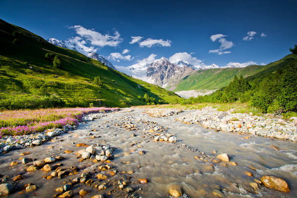Beautiful walley in Caucasus mountains in Upper Svaneti, Georgia - Fotoğraf, Görsel