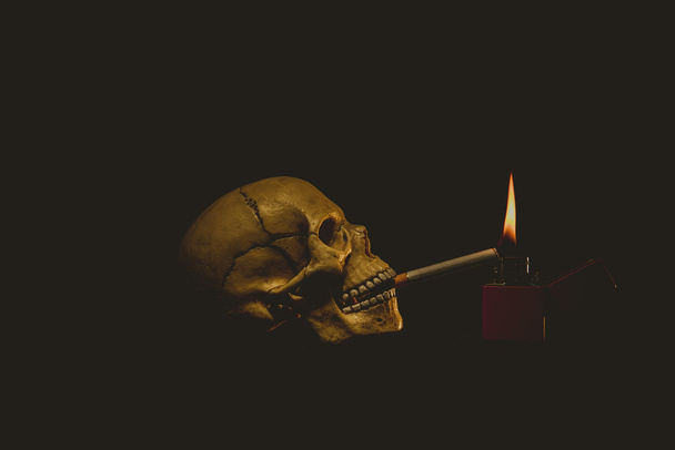 Human skull smoking a cigarette - Foto, Imagen