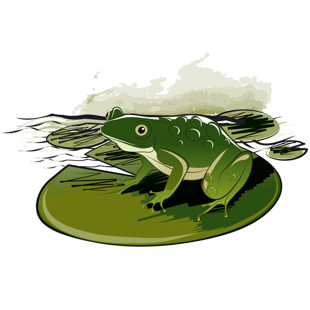 żaba siedzi na liściu - Wektor, obraz