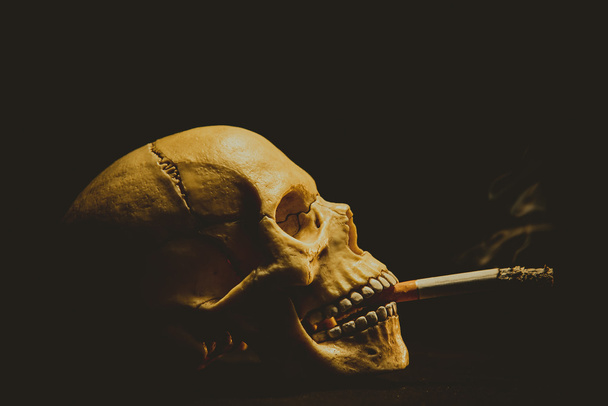 Human skull smoking a cigarette - Foto, Imagem
