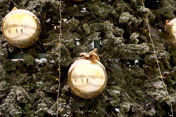 Las esferas de Año Nuevo sobre las ramas del abeto
 - Foto, Imagen